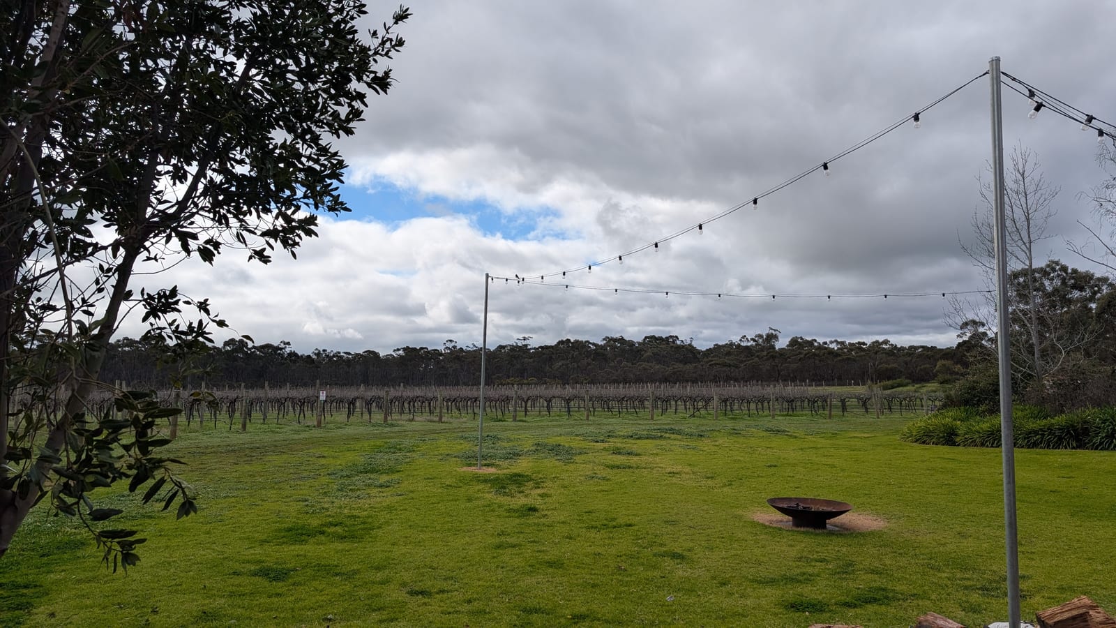 The lawn behind the cellar door, a cast-iron fire pit under a string of festoon lights, with the dormant vineyard and a line of bush along the horizon